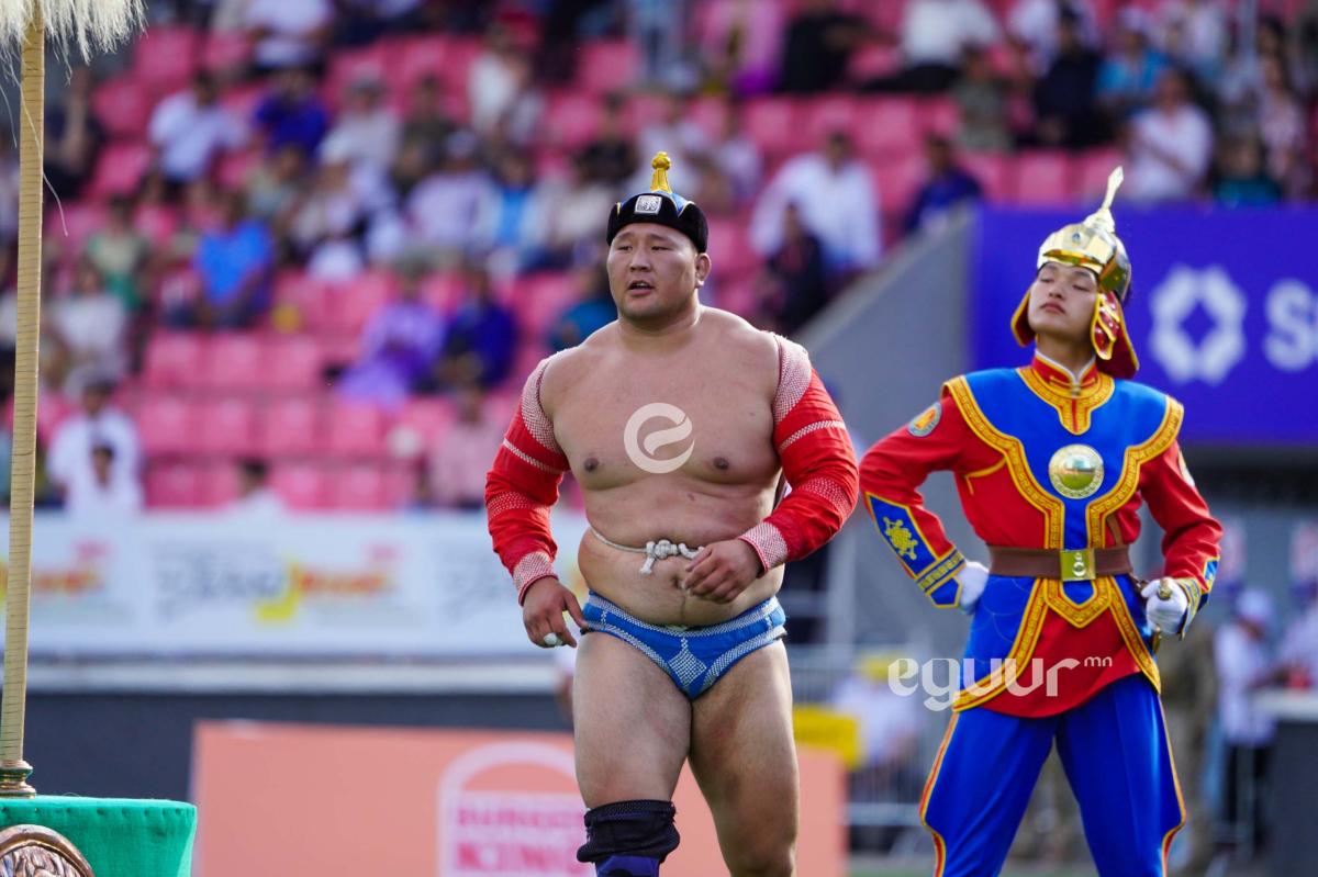 Н.Өсөхбаяр: Ерөнхий сайд үндэсний бөхийг жалга дов, нутаг усаар ялгаварласанд гүнээ харамсаж байна